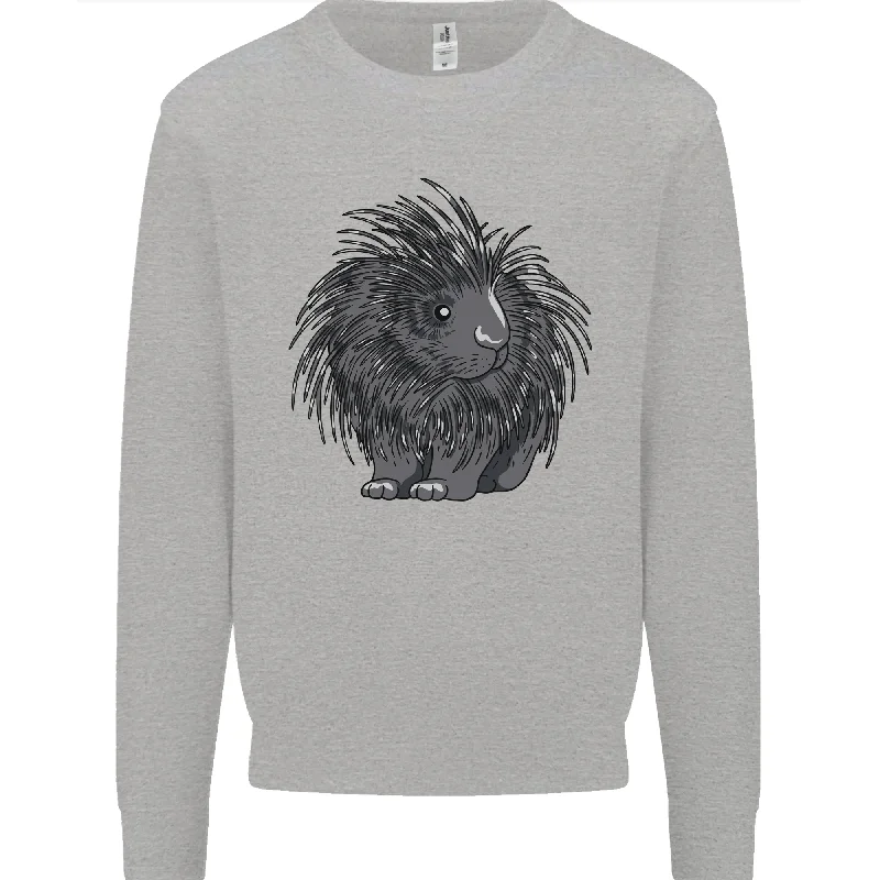 pullover workout hoodieA Porcupine Mens Sweatshirt Jumper